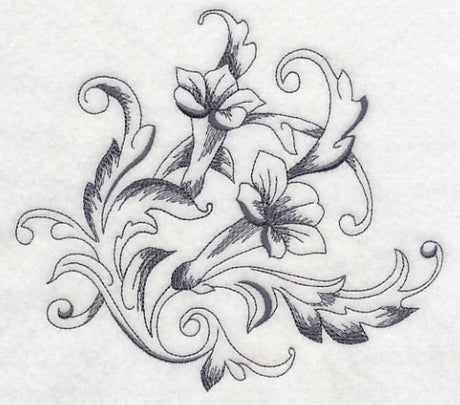 Baroque Trumpet Vine Flourish