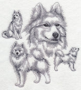 Samoyed Sketch