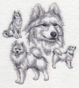 Samoyed Sketch