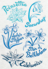 Winter Garden Collage