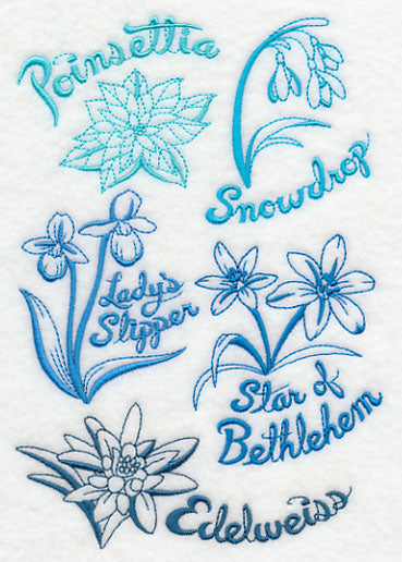 Winter Garden Collage