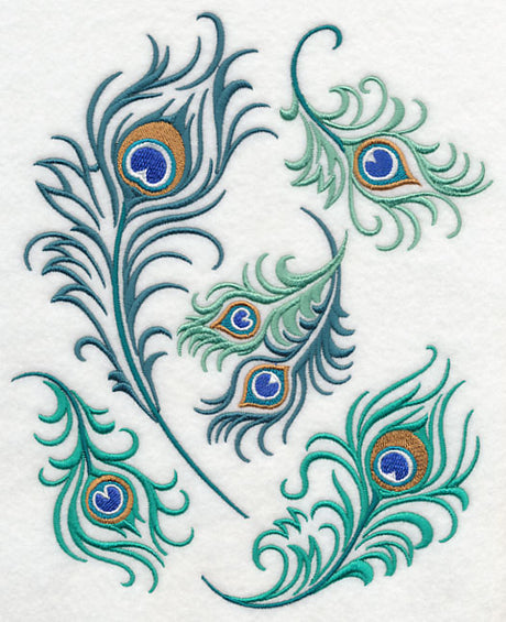 Proud Peacock Feather Collage