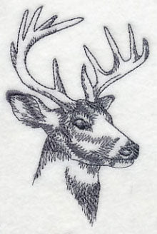 Northwoods Deer Head