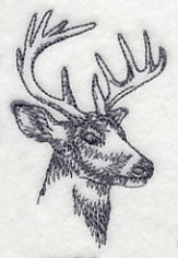 Northwoods Deer Head