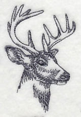 Northwoods Deer Head