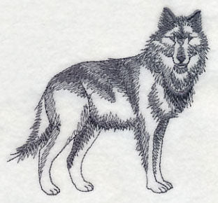 Northwoods Wolf