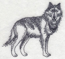Northwoods Wolf