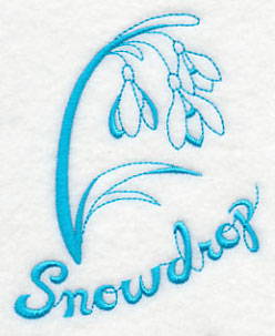 Winter Garden Snowdrop