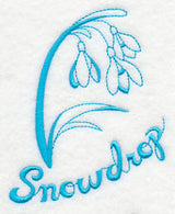 Winter Garden Snowdrop