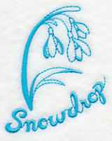 Winter Garden Snowdrop