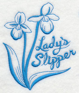 Winter Garden Lady's Slipper