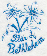 Winter Garden Star of Bethlehem