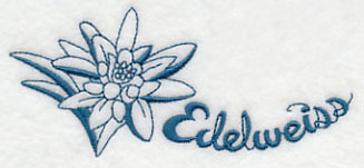 Winter Garden Edelweiss