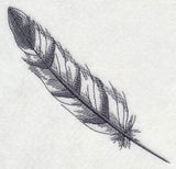 Feather - Bald Eagle