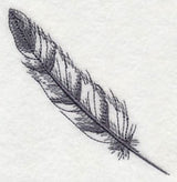 Feather - Bald Eagle