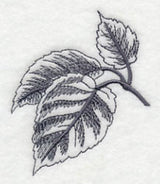 Birch Leaf