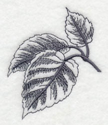 Birch Leaf
