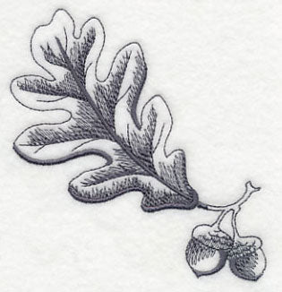Oak Leaf