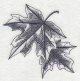 Maple Leaf