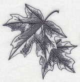 Maple Leaf