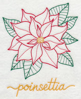 Christmas Bliss Poinsettia