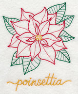 Christmas Bliss Poinsettia