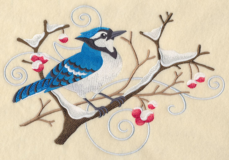 Blue Jay and Winter Branch Spray