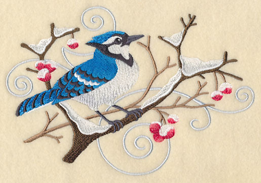 Blue Jay and Winter Branch Spray