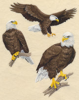 Bald Eagle Collage