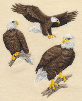 Bald Eagle Collage