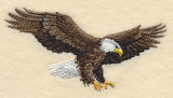 Bald Eagle in Flight