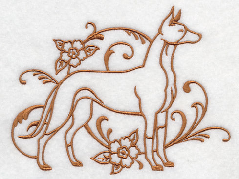 Graceful Ibizan Hound