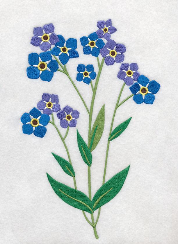 Forget-Me-Not Bunch 1