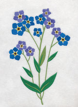 Forget-Me-Not Bunch 1