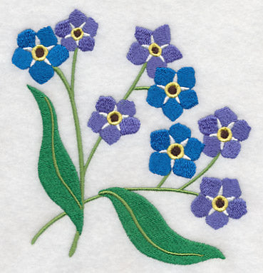 Forget-Me-Not Corner