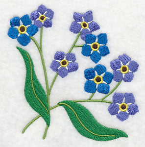 Forget-Me-Not Corner