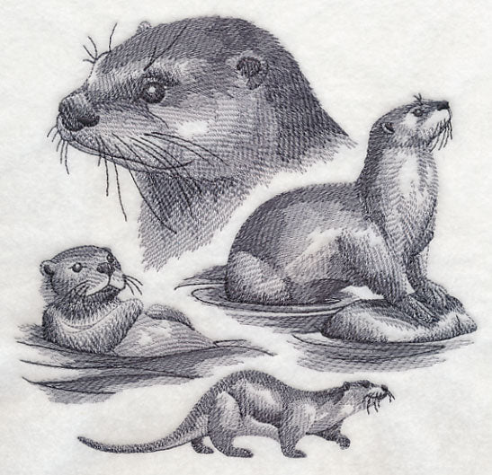 Otter Sketch