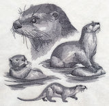 Otter Sketch