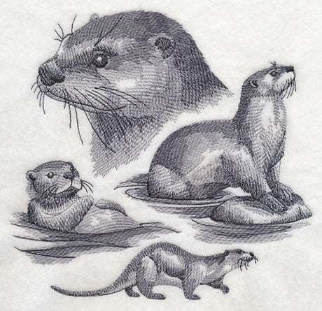 Otter Sketch