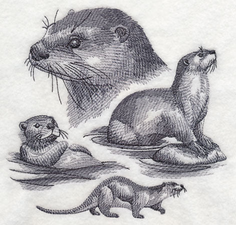 Otter Sketch