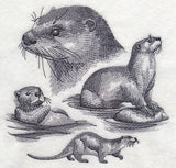Otter Sketch