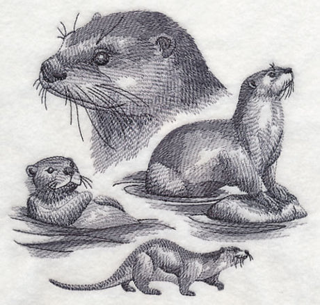 Otter Sketch