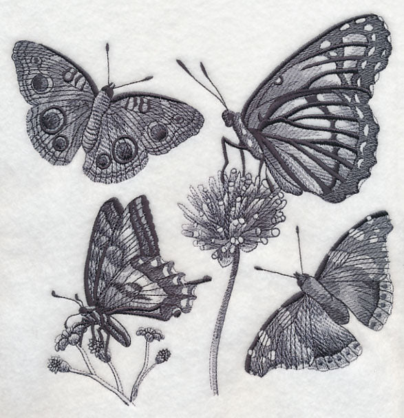 Butterfly Sketch