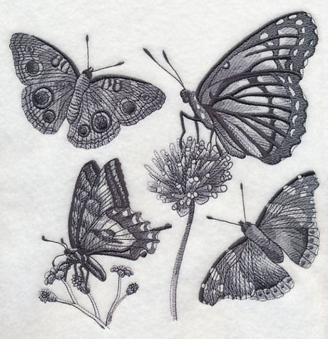 Butterfly Sketch