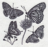 Butterfly Sketch