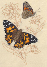 Painted Lady on Delicate Flower