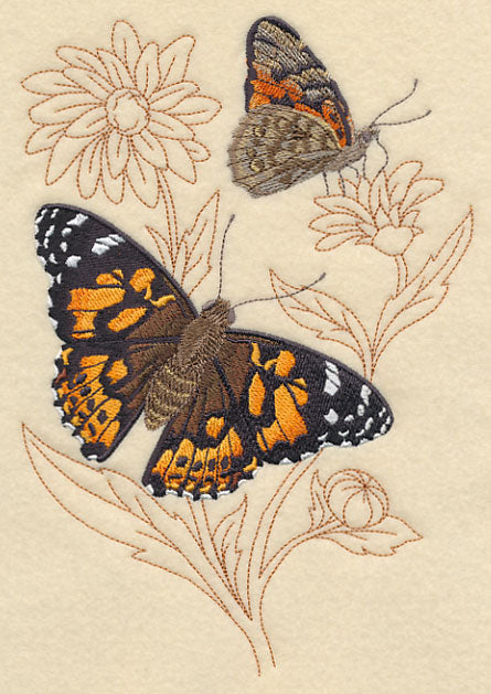 Painted Lady on Delicate Flower