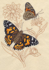 Painted Lady on Delicate Flower