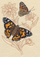 Painted Lady on Delicate Flower