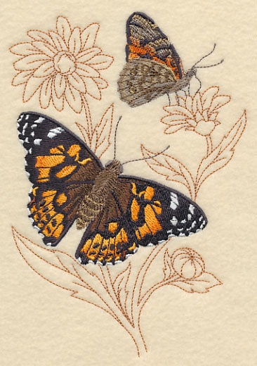 Painted Lady on Delicate Flower